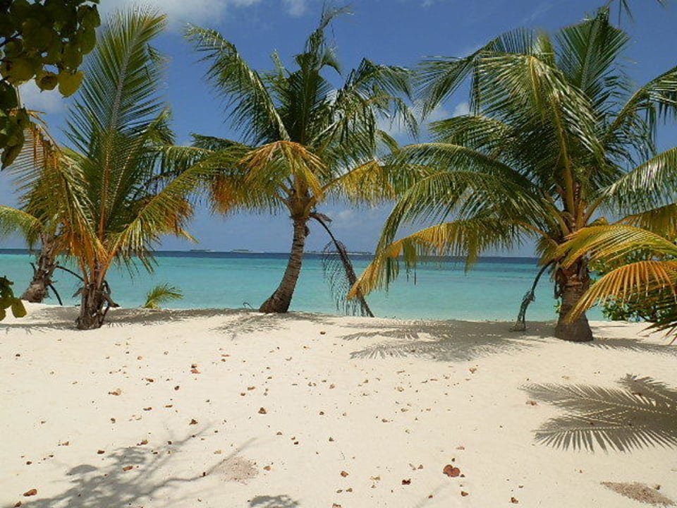 Paradies Kuredu Island Resort & Spa