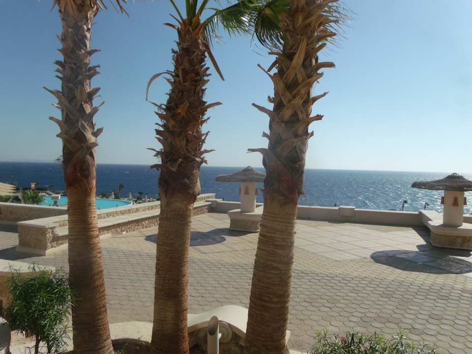 Blick von der Terrasse Pickalbatros Citadel Resort