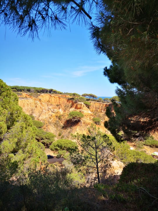 Gartenanlage PortoBay Falésia