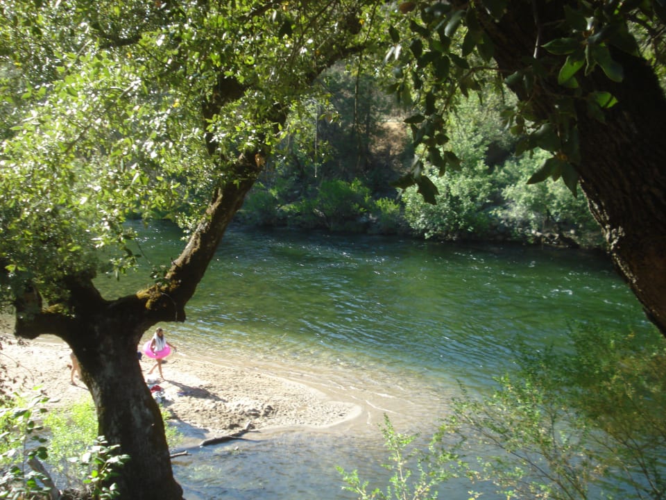 Schwimmen und Grillen am Fluss Yosemite Cedar Lodge