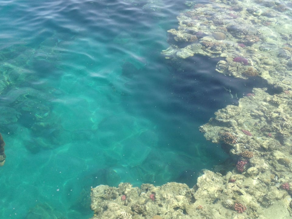 Blick ins Meer  Fantazia Resort Marsa Alam