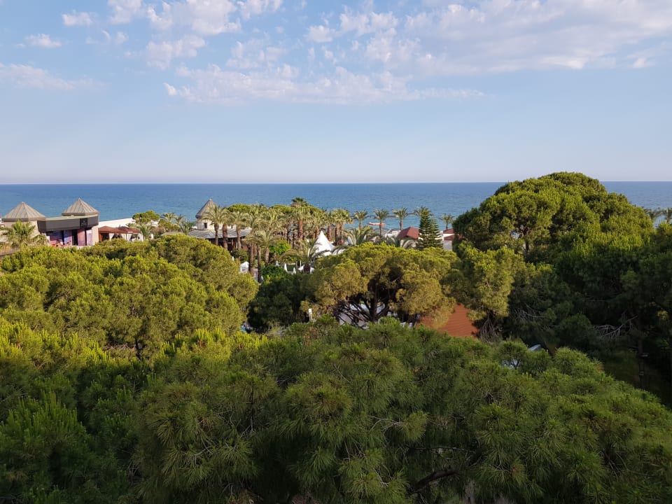 Ausblick Papillon Ayscha