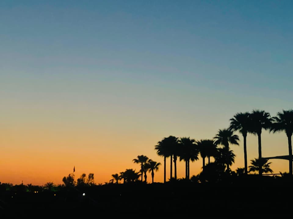 Strand Crystal Family Comfort Collection