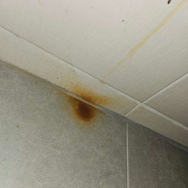 Zimmer Garden Of Sun