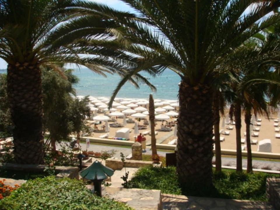 Traumhafter Blick beim Essen Arum Barut Collection
