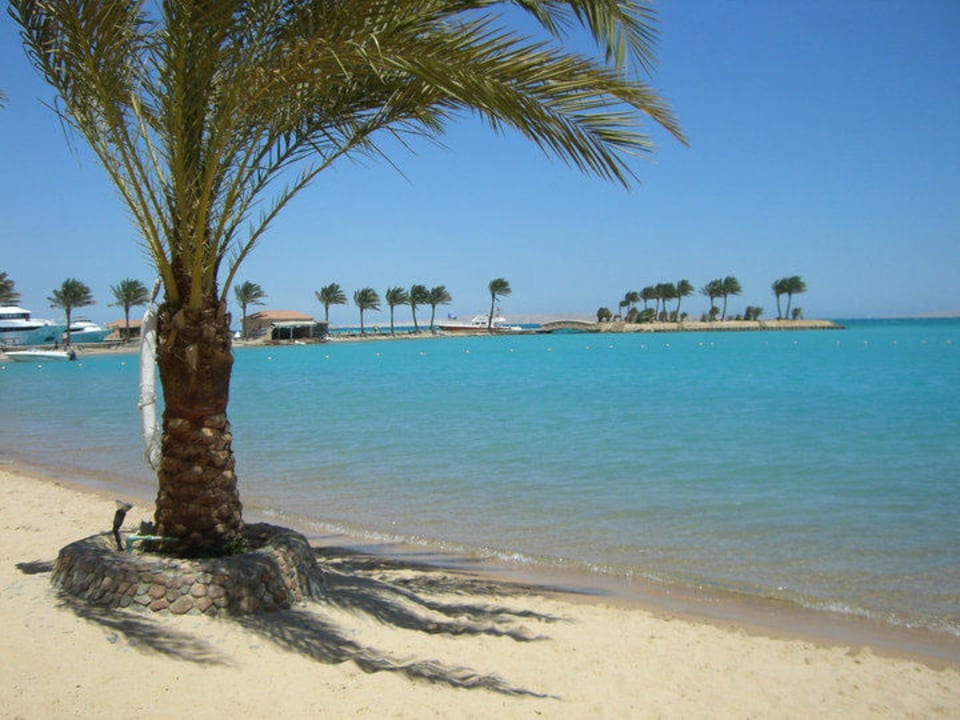 Super schön  Continental Hotel Hurghada