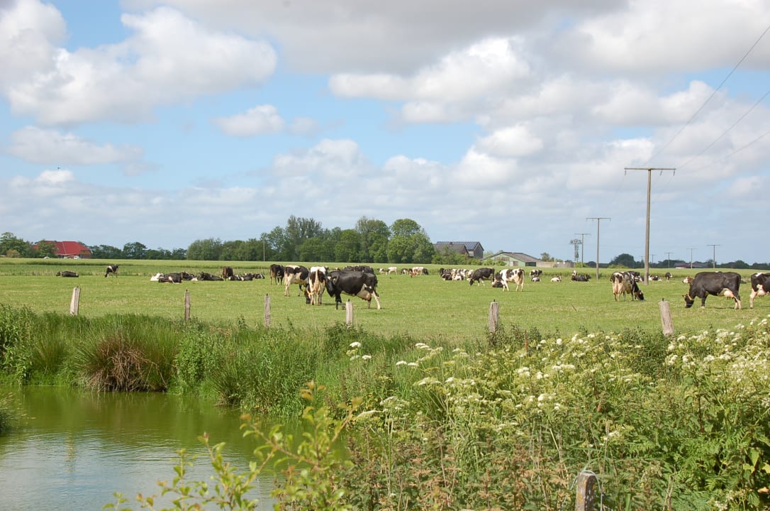 Ausblick Bauernhof Rickerts