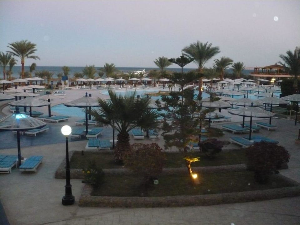 Blick aus unserem Zimmer Beach Albatros Resort