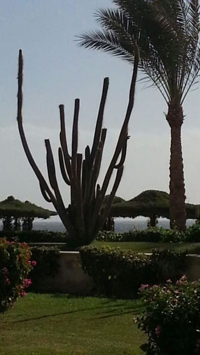 Garten Siva Sharm