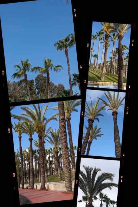 Ausblick Monachus Family Resort Sorgun