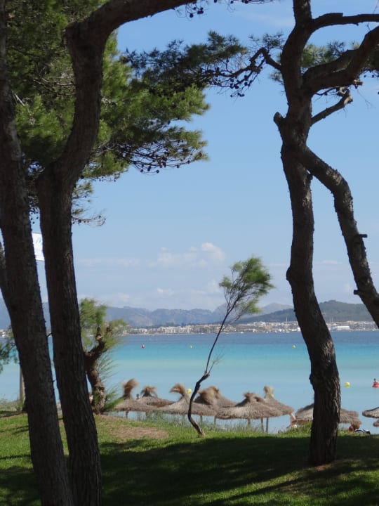 Ausblick Iberostar Waves Playa de Muro