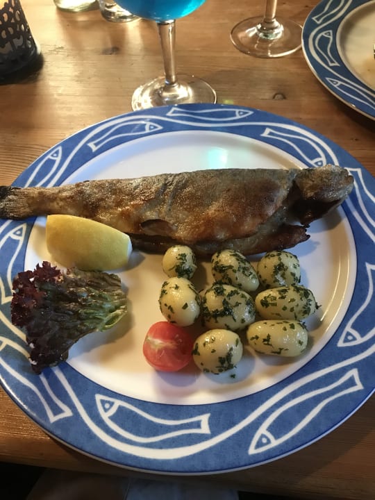 Gastro Hotel Müllneralm - das Hundeparadies