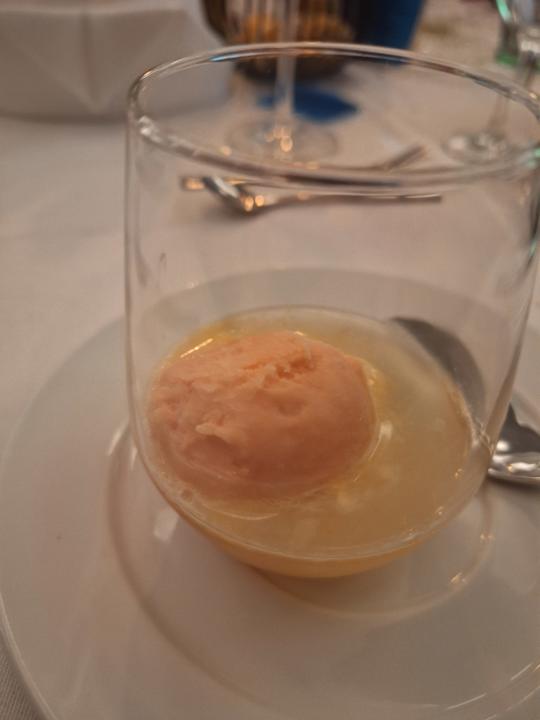 Gastro Parkhotel Schillerhain