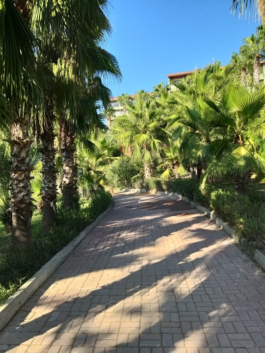 Gartenanlage Seaden Corolla Hotel