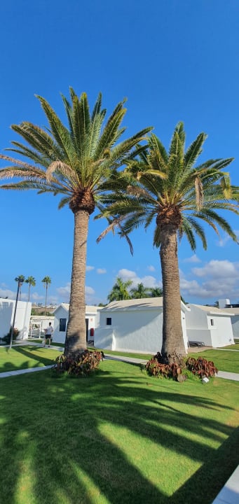 Außenansicht Club Maspalomas Suites & SPA