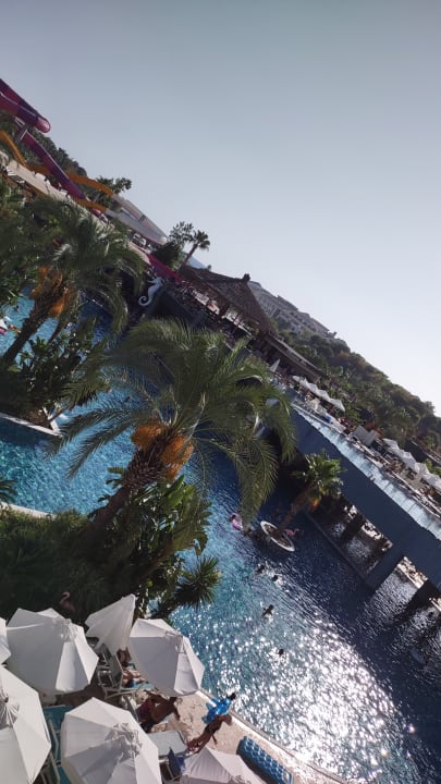 Pool Dream World Palace Hotel