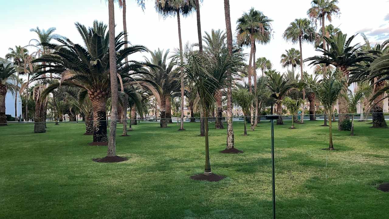 Gartenanlage Hotel Riu Gran Canaria