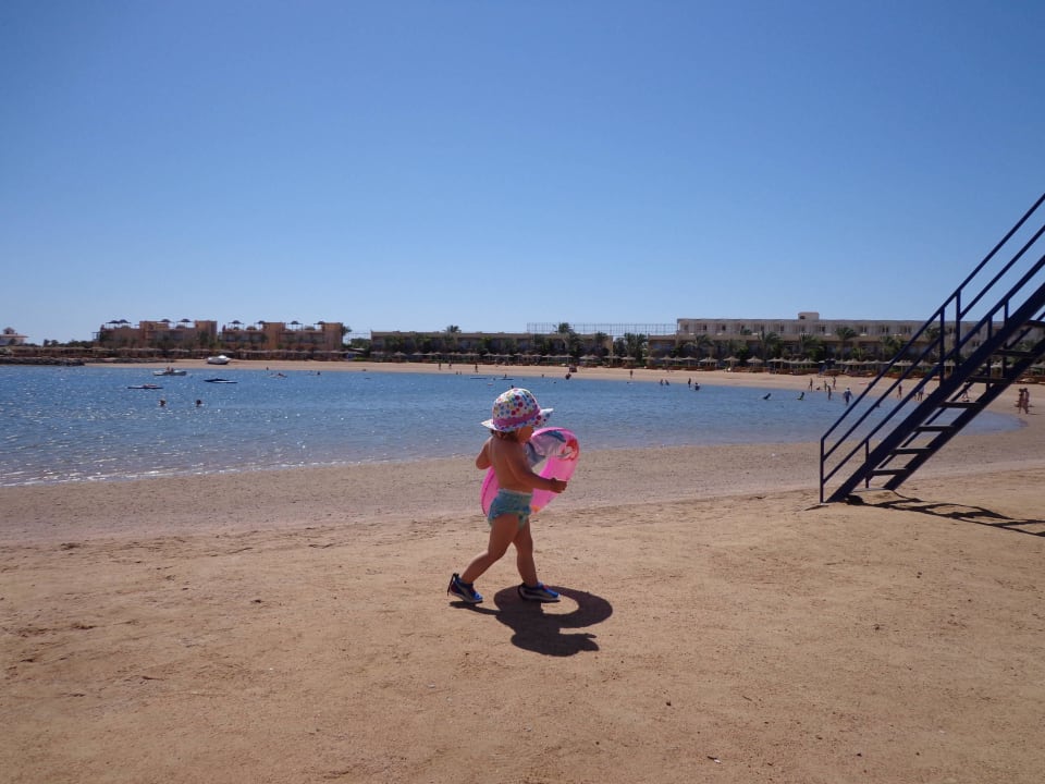Toller Strand Desert Rose