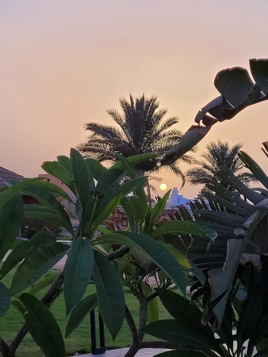 Gartenanlage Panorama Bungalows Resort El Gouna