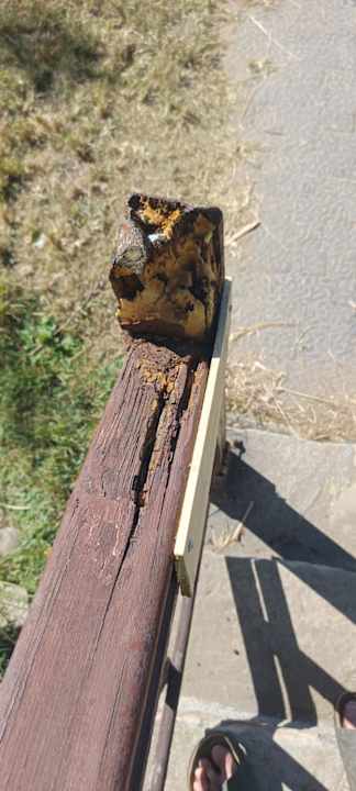 Sonstiges Clover Magic Nova Beach