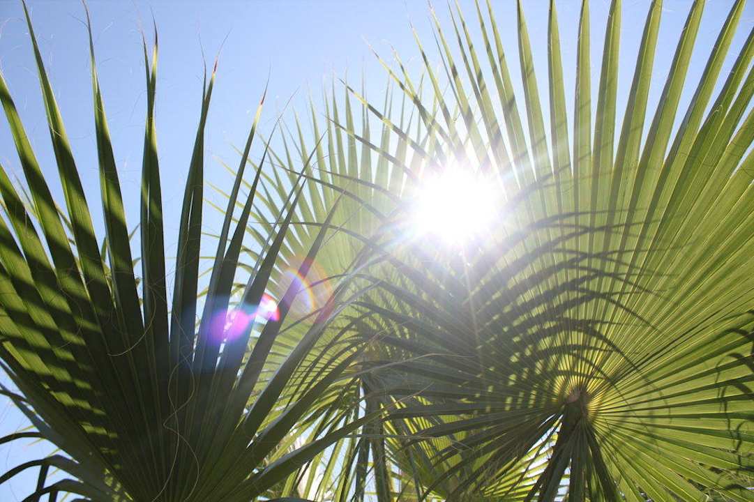 Palme und Sonne Saphir Resort & Spa