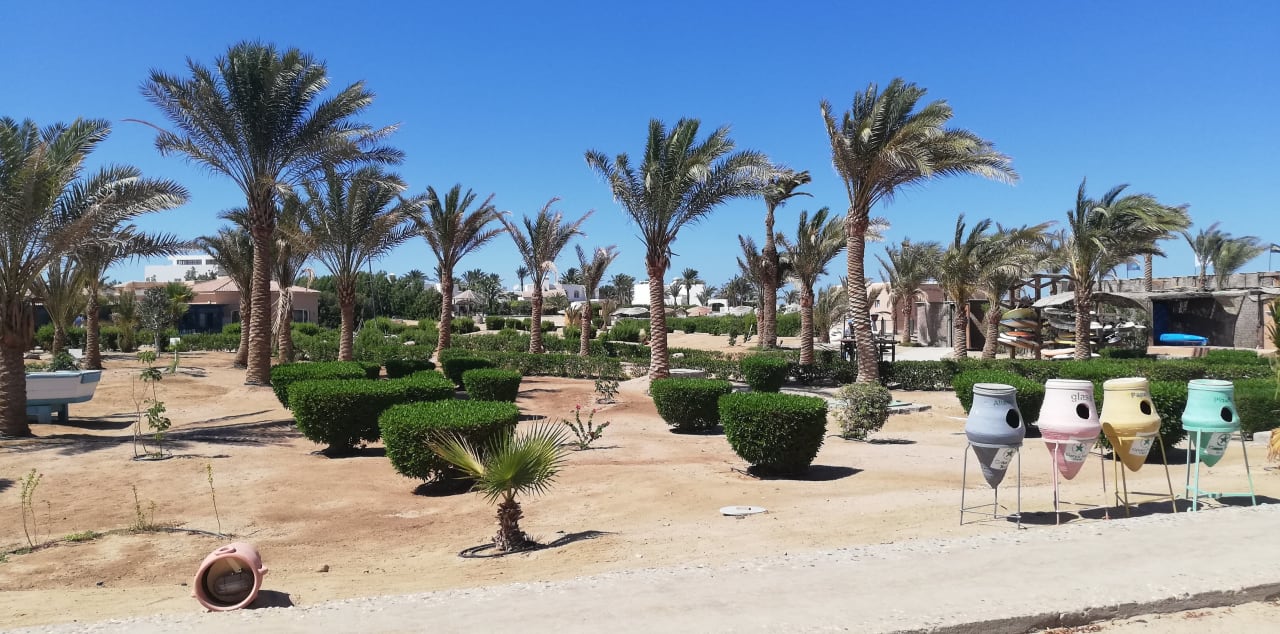 Gartenanlage Club Paradisio El Gouna, Red Sea