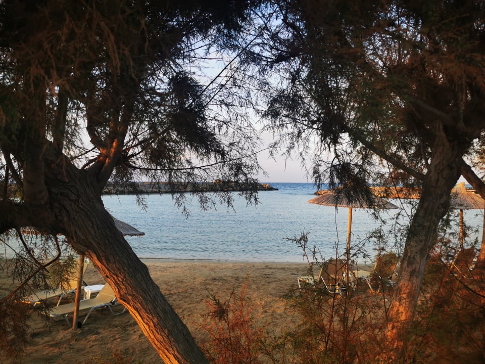 Strand Hotel Aphrodite Beach Club