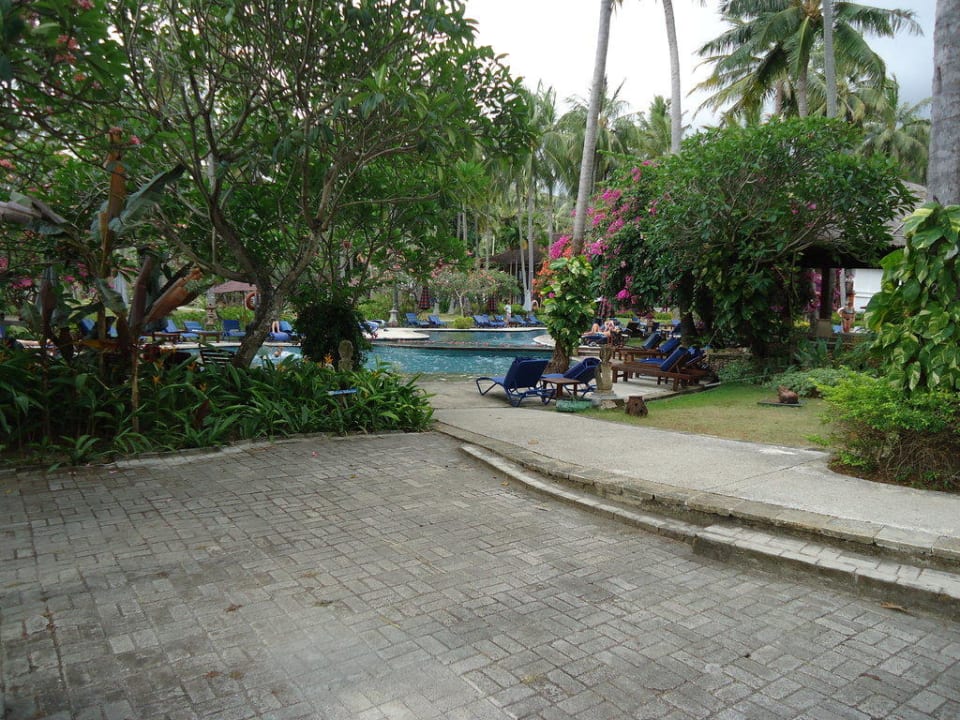 Pool Hotel Holiday Resort Lombok