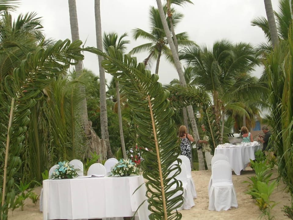 Hochzeitsvorbereitungen am Strand Catalonia Royal Bavaro - Adults only