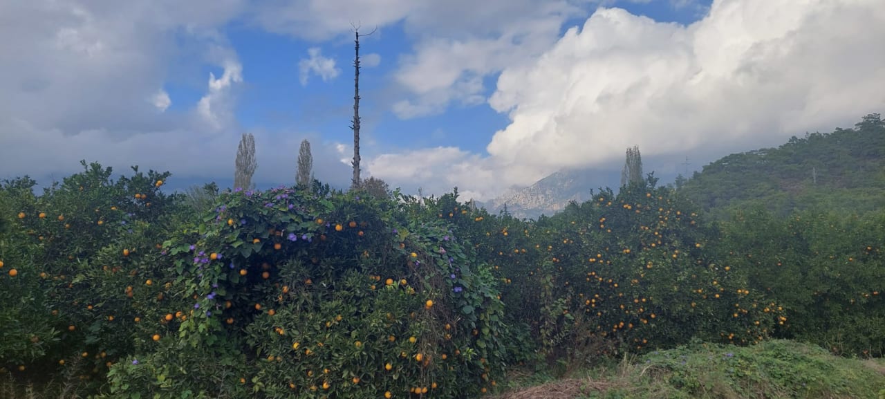 Ausblick Limak Limra Hotel & Resort