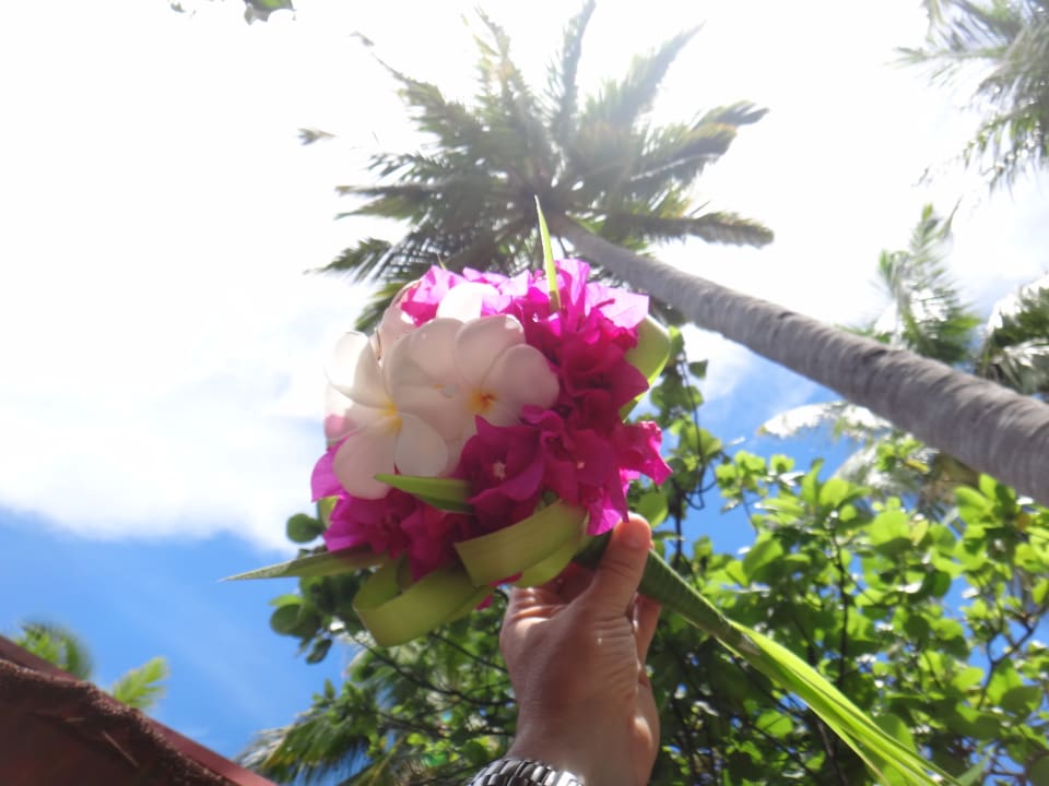 Hochzeitsgeschenk vom Chef Diamonds Thudufushi