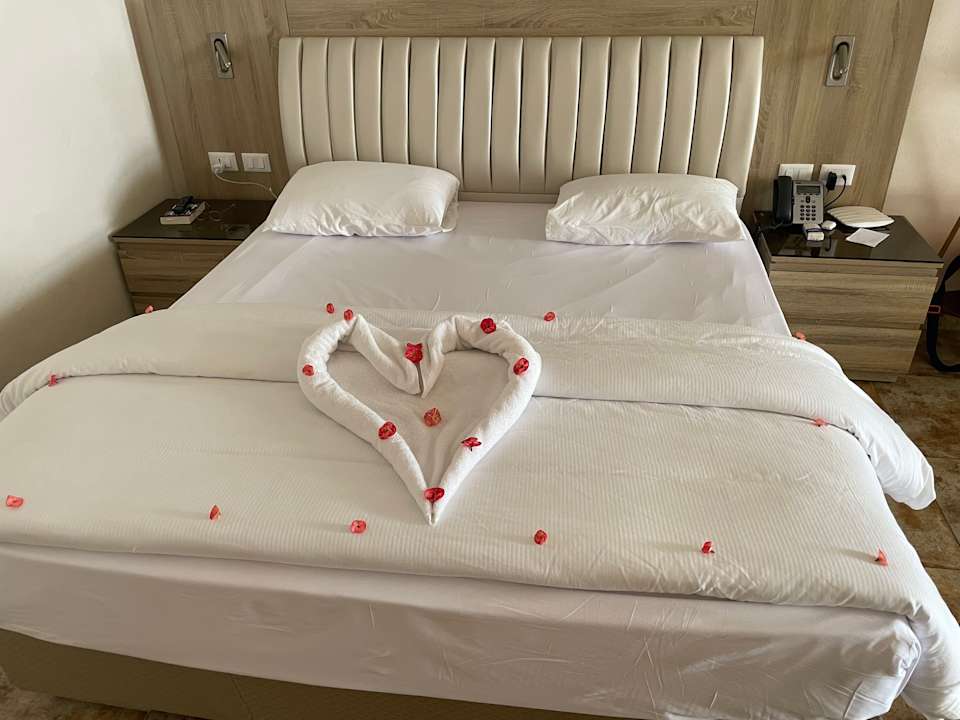 Zimmer Pickalbatros Citadel Resort