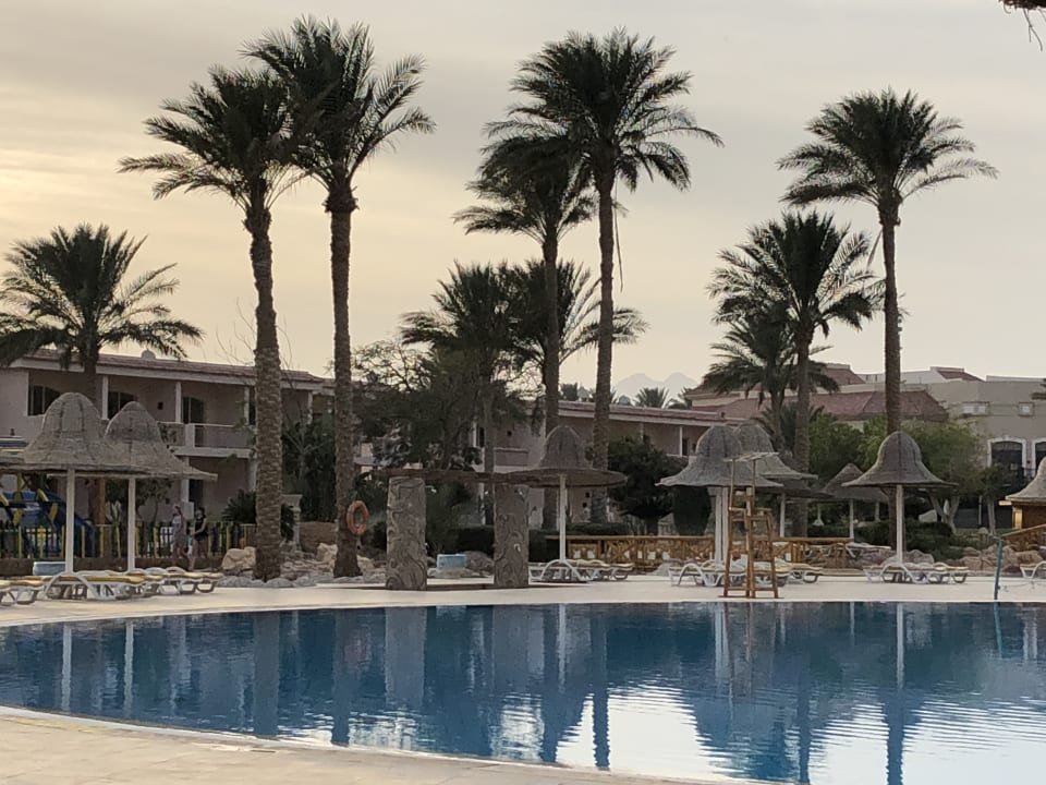 Pool Parrotel Lagoon Waterpark Resort