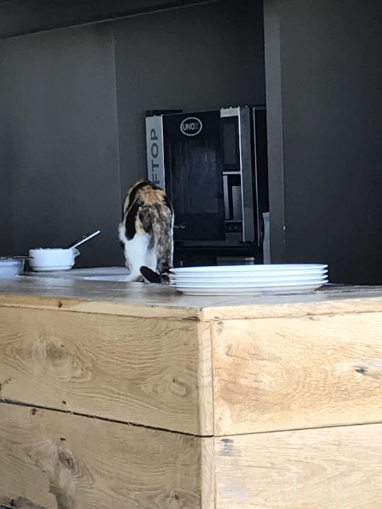 Gastro NEMA Design Hotel & Spa (Adults Only)