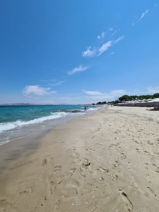 Strand Neptune Luxury Resort