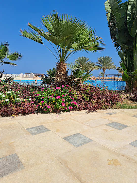 Pool Lazuli Hotel Marsa Alam