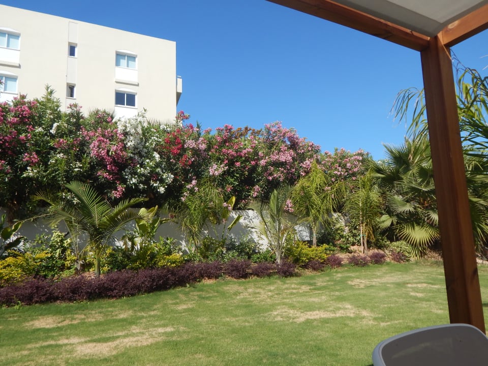 Pool Vangelis Hotel & Suites