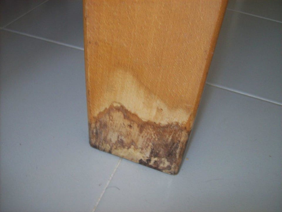 Einrichtung veraltet Hipotels Mediterraneo Club