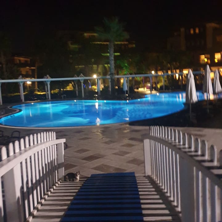 Pool Calimera Serra Palace