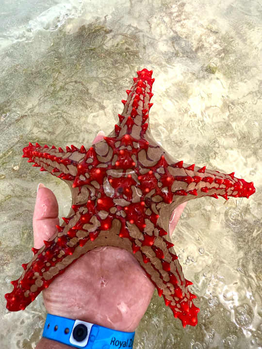 Strand Royal Zanzibar Beach Resort