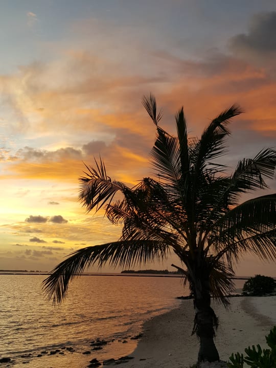 Strand Adaaran Select Meedhupparu Island Resort - Premium All Inclusive