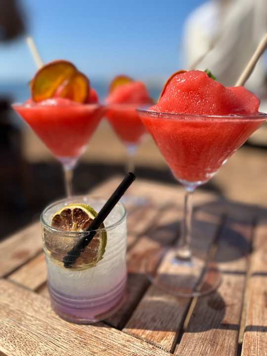 Gastro Rubi Platinum Sign