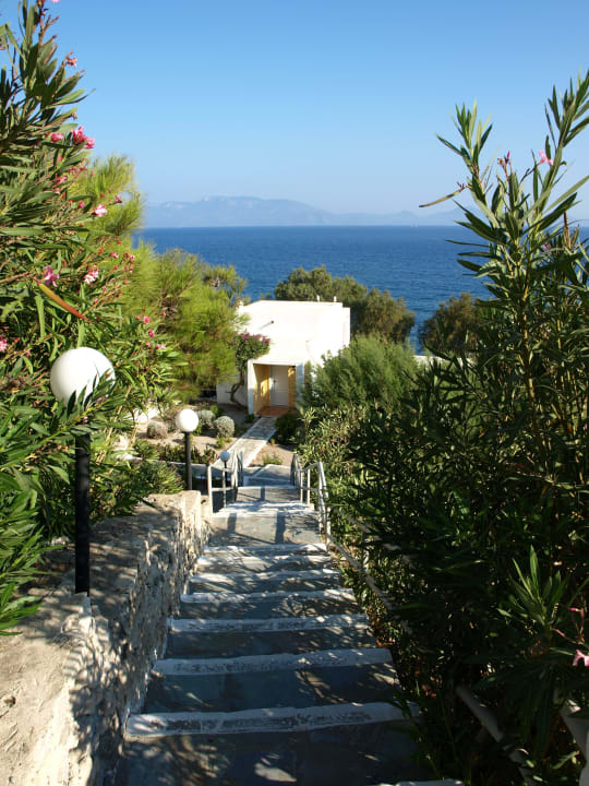 Weg zum Strand durch den Garten Dimitra Beach Hotel & Suites