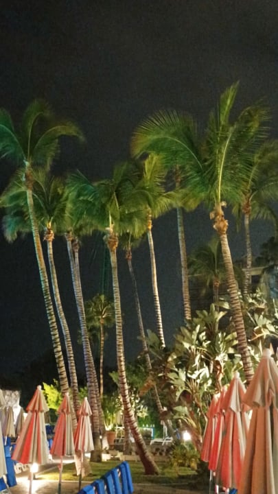 Pool Bull Costa Canaria & Spa - Adults only