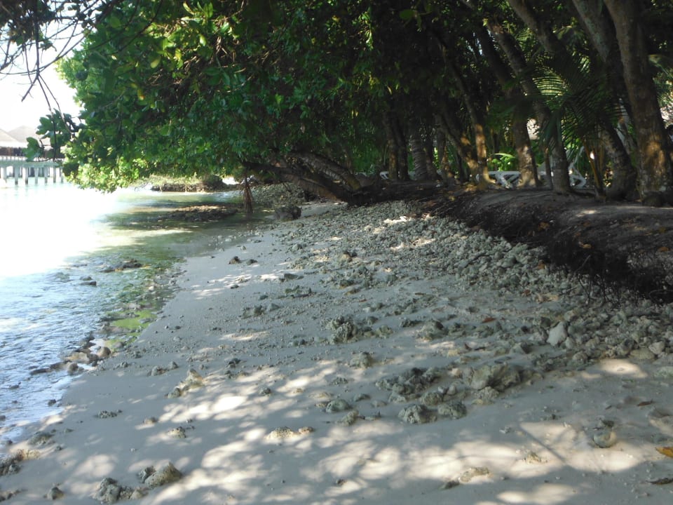 Steine an Zugang Aussenriff Kuramathi Maldives