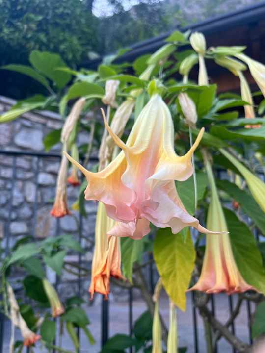 Sonstiges Relax Hotel Villa La Gardenia & Oleandra