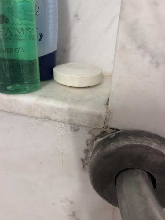 Zimmer Dreams Dominicus La Romana