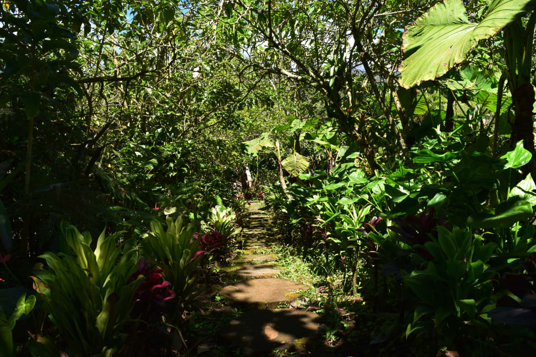 Gartenanlage Hotel Guayabo Lodge