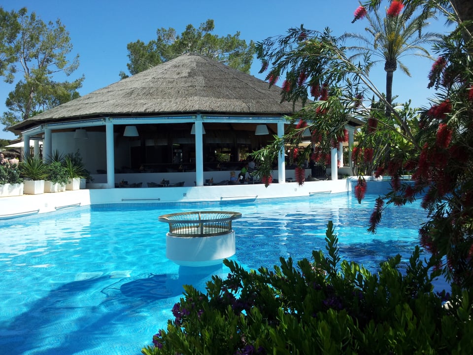 Pool Prinsotel La Dorada