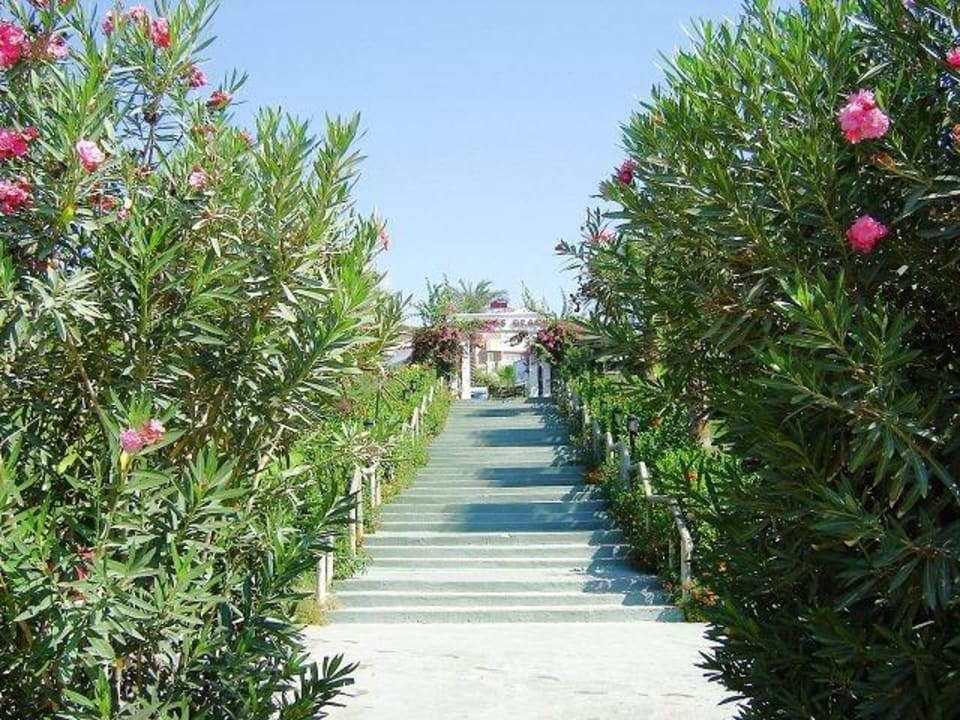 Weg zum Hotel Trendy Aspendos Beach Hotel